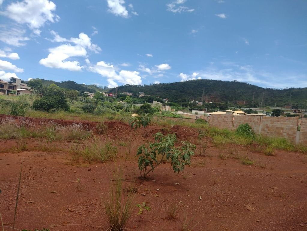 Lote de testes 2