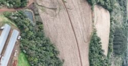 A9