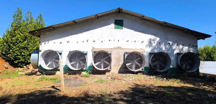 A18